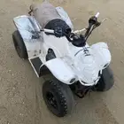 دباب