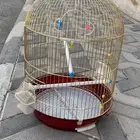 سيكل رامبو اصلي المقاس 20 و قفص طيور