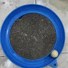 شبك قطط واغراض اخرى