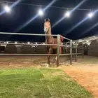 مربط النجايب إيواء الخيل شمال الرياض