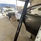 سمكة كامري