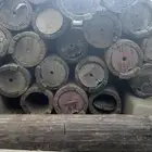 خلايا شمراني قديم