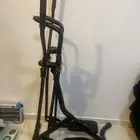 غزال الطاير