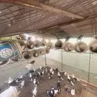 حمام مشكل للبيع