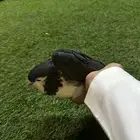 حمام زينه رخيص