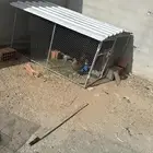 شبك جديد