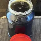 دبس برحي