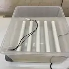 للبيع فقاسه