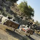 نحل بلدي خلايا محايلى