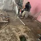 جميع انواع القص وأحجامها