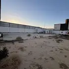 تيماء