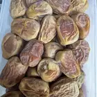 سكري وبرحي انتاج الموسم يوجد توص