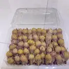 عرض طازج الان الصحن فيه 50 السعر 140