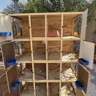 محكر 4 ادوار