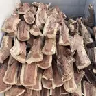 مشلخ طيب حطب