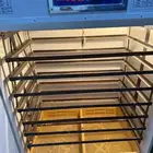 فقاسه فل تماتيك