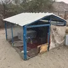 صندقتين للبيع وحده كبيره وحده وسط