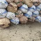 حشف هليل للحلال