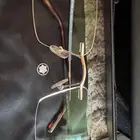 نظارات طبية