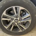 جنوط الانترا