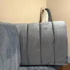مجلس