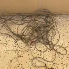 كيبل لمبة للبيع