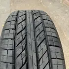 جنوط فراشه وارد ابو ساهر
