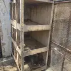 للبيع محكر طيور وبطاريات ارانب