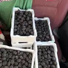 عجوة الفلين ب 30 العدد 40