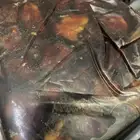 تمر فنخاء سلمى