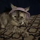 للتبني بدون مقابل