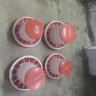 معالف طيور مستخدمه نظيفه