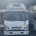 المدينة المنورة