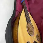 عود مصري صيدة