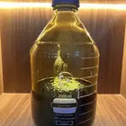 مخلط دهن الشيوخ جمله