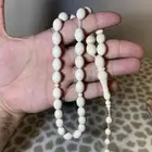 سبحه ع.ا.ج ن.ا.ب ال.ف.ي.ل