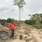 مشتل لتوريد الاشجار والشتلات بكميات كبيرة وباقل الاسعار