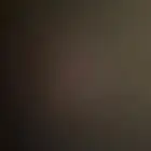 مطلوب عنز حليب شرط