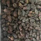 تمر خضري