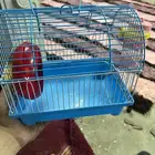 قفص طير