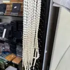 مسابح كوك وعظم جمل