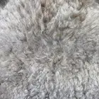 لباني شرط بلدي والطعم تحدي عمره(5)شهر