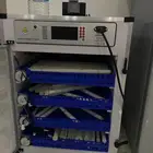 فقاسه صينيه