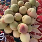خوخ الطايف