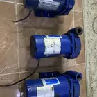 دينمو سمنان