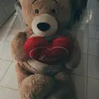 دبدوب الموسم