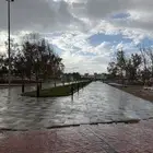 العرفاء 1