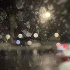 احتاج شقة جديده بلاطه