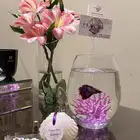 سمك فايتر. هديه