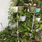 زرع داخلي مختلف الانواع وسعروا طيب جدا